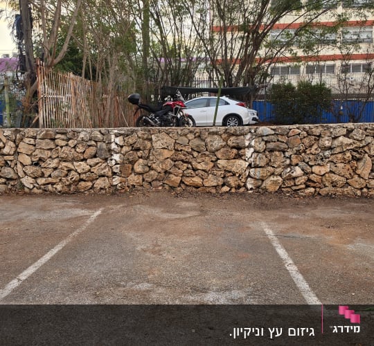 חניון אספלט עם סימוני חנייה וקיר אבנים ברקע